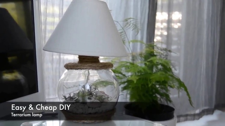 DIY Terrarium Lamp (Cheap version)