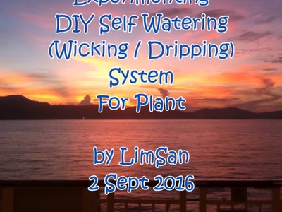 Singapore LimSan's DIY Self Watering System