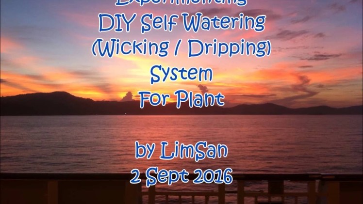 Singapore LimSan's DIY Self Watering System