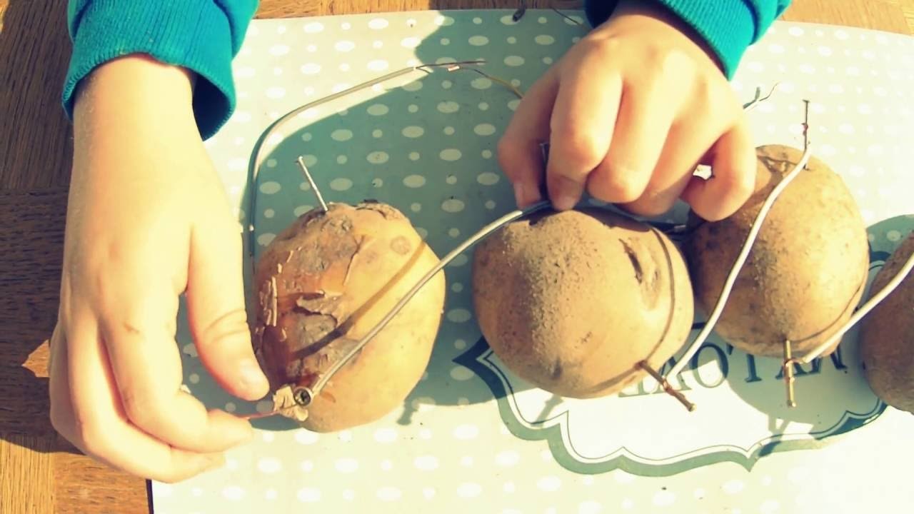 Battery from potatoes - how to generate electricity from vegetables (bonus: steel wool fireworks)