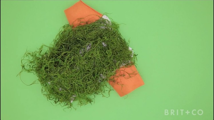 How to DIY a Chia Pet Dog Costume