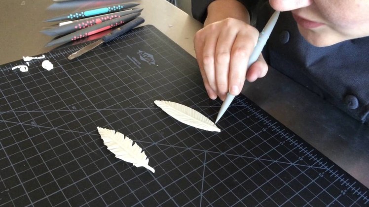 How to Make Chocolate Feathers using Innovative Sugarworks Sugar Shapers