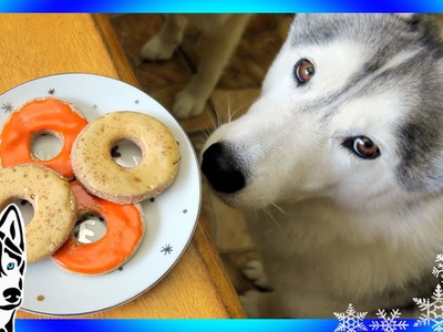 DIY DOG TREATS APPLE CINNAMON DONUTS | Snow Dogs Snacks 57 | DIY Dog Treats