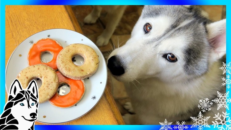 DIY DOG TREATS APPLE CINNAMON DONUTS | Snow Dogs Snacks 57 | DIY Dog Treats