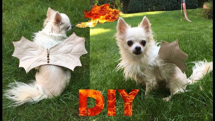 DIY Doggie Dragon Costume | Halloween 2016 #3.5