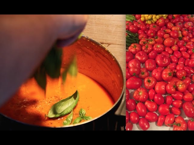 DIY Recipes: How to make Tomato Basil Soup from Scratch using Homegrown Organic Tomatoes Vegan