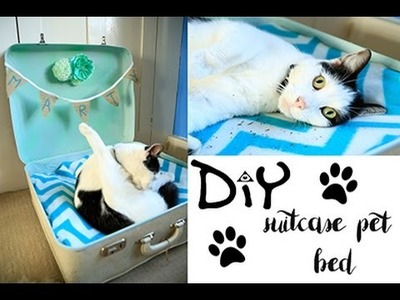 DIY suitcase pet bed