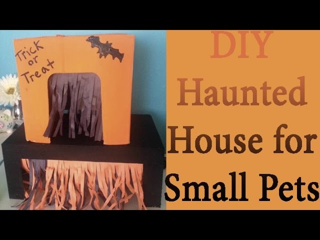 Halloween DIY | Haunted House for Rats, Hamsters, ect.