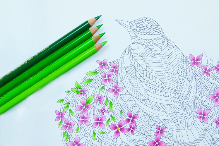 How to colour in leaves with colouring pencils ⎮ Colour pencil blending