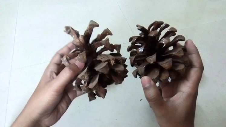 DIY Dried Pine Cones decoration