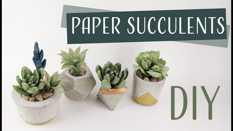 DIY Paper Succulents. Suculentas de Papel Collab: Carte Fini - Part 1
