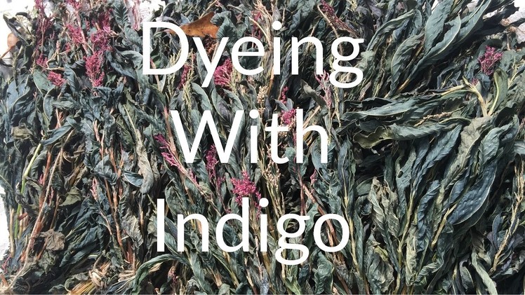 Dyeing with Natural Indigo dye. The day I learned how use natural dyes & organic indigo