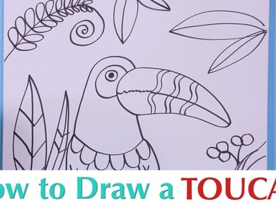 How to Draw a Toucan - Great Artist Mom - Guided Drawing