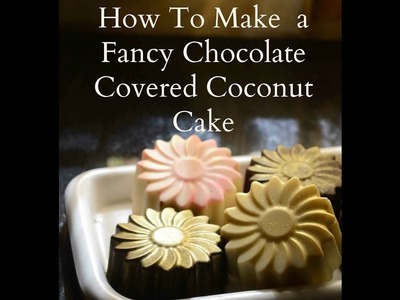 How To Make a Fancy Chocolate Covered Eggless Coconut Cake Recipe - Easy Cake Recipe