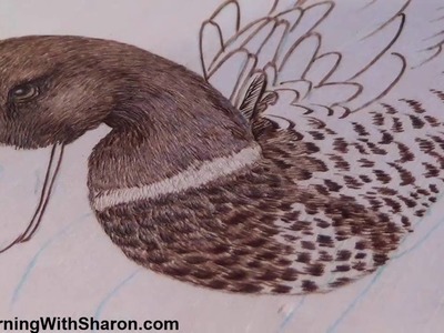 Pyrography: How To Woodburn The Chest Feathers On A Mallard Duck