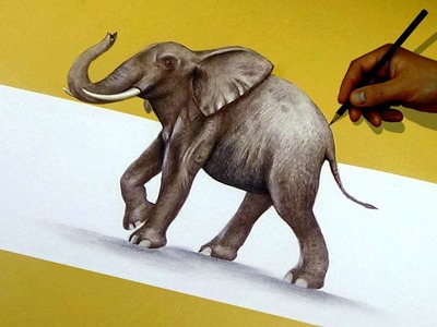 How To Draw A 3D Elephant - 3d Art | Optical illusion |