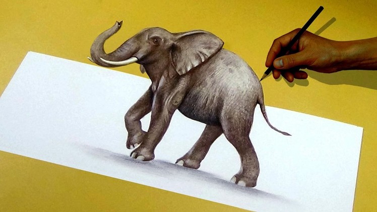 How To Draw A 3D Elephant - 3d Art | Optical illusion |