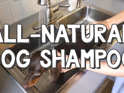 All Natural Dog Shampoo - DIY$ by Perk