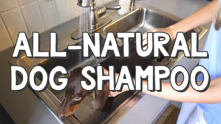 All Natural Dog Shampoo - DIY$ by Perk