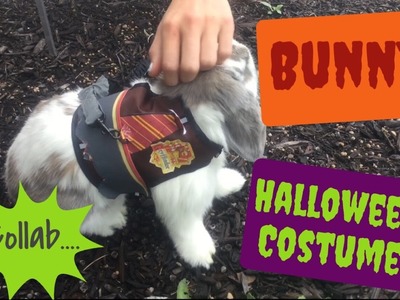 DIY bunny Halloween costume | collab. 