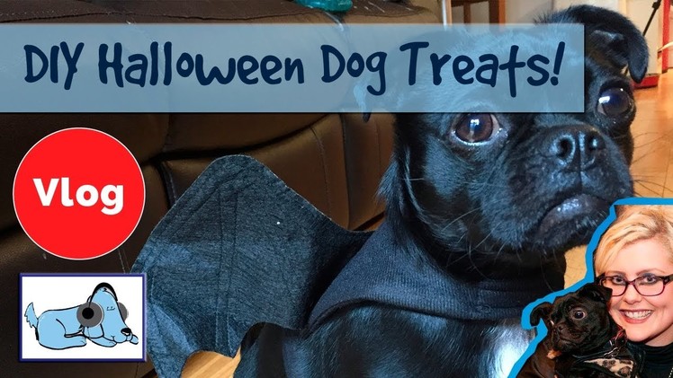 How to Make Halloween Treats for Dogs! DIY Halloween Pumpkin Dog Treats!