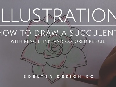 Illustration - How To Draw A Succulent With Pencil, Ink, And Colored Pencil