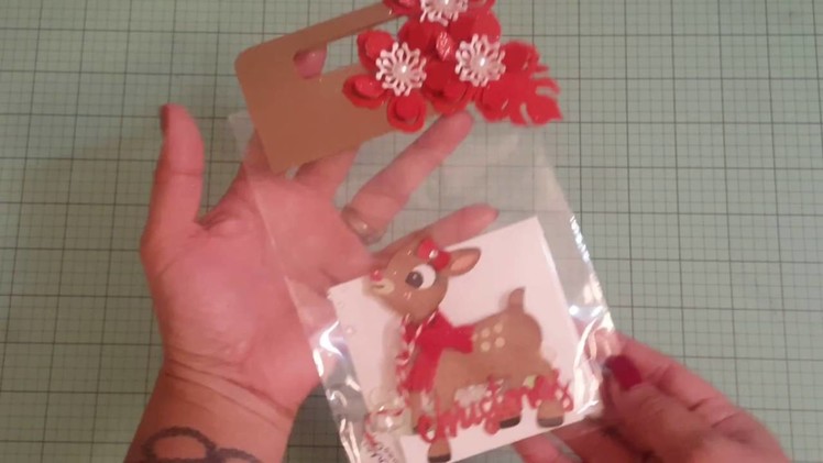 Christmas shaker gift card holder swap with Chandi!!