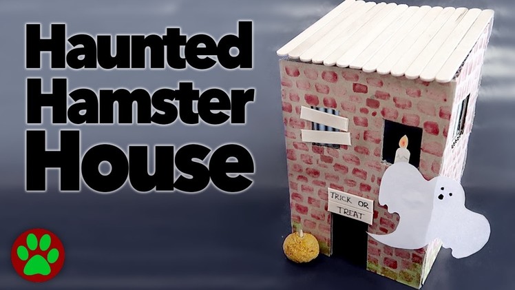 DIY Haunted Hamster House | #SpookSeason2016