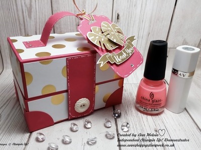 Beautiful Ladies style Vanity.Make-up Case using Stampin Up Products