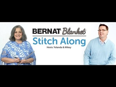 Bernat Stitch Along - Week 4 Clues (full version)