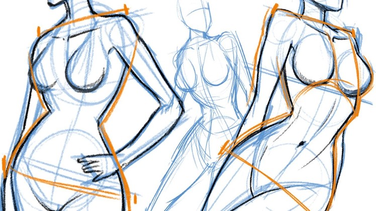 How to Draw: THE FEMALE BODY