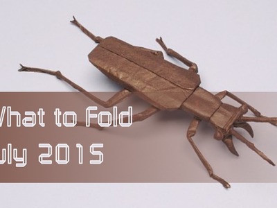 Origami Beetle Recommendations: What to Fold July 2015