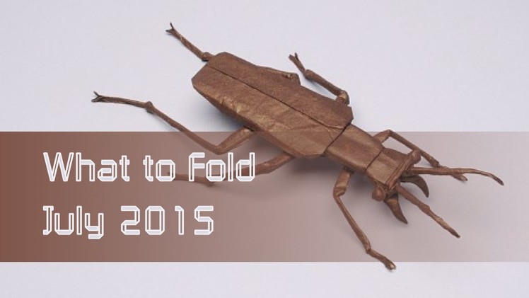 Origami Beetle Recommendations: What to Fold July 2015