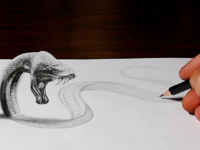 Snake Drawing Comes to Life - 3D Trick Art