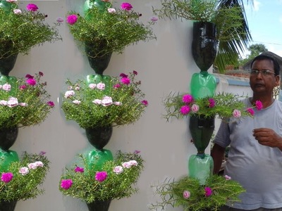 Tree planting in hanging bottles on wall