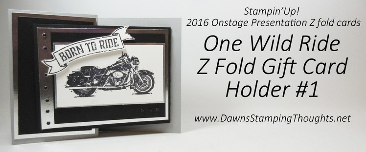 Z Fold Gift Card Holder #1 One Wild Ride Million Dollar Stamp set from Stampin'Up!