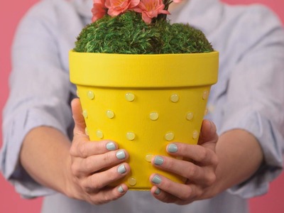 Add a Pop to Your Garden Pots