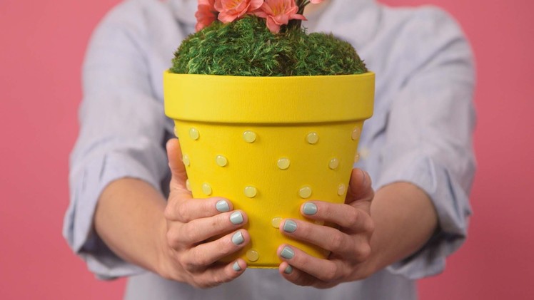 Add a Pop to Your Garden Pots