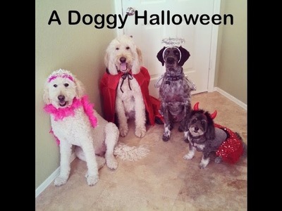 Dog Halloween !  Tricks AND Treats