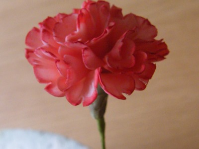 How to make a Gumpaste Flowerpaste Carnation