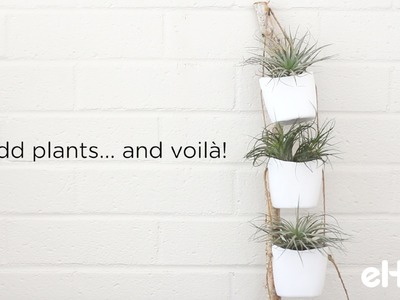 Learn to Make Hanging Plant Holders From Plastic Bottles