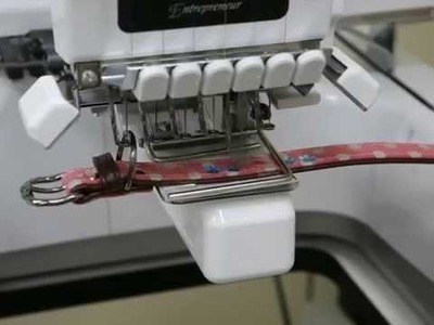Embroidery with Clamp Frame on a Collar for Pets