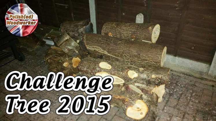 Make something from a Log or branch - Challenge Tree 2015 Project