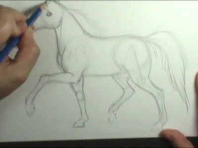 How to draw a horse trotting
