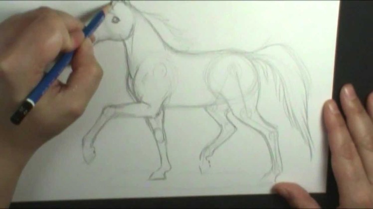 How to draw a horse trotting
