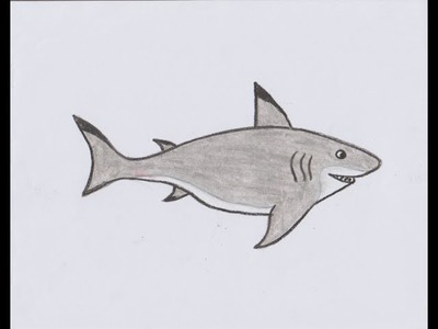 How to Draw Shark for Kids