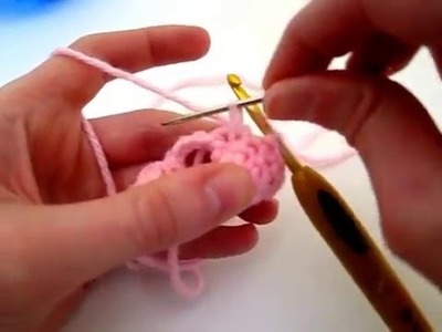 Dumpling Kitty - Joining the ears