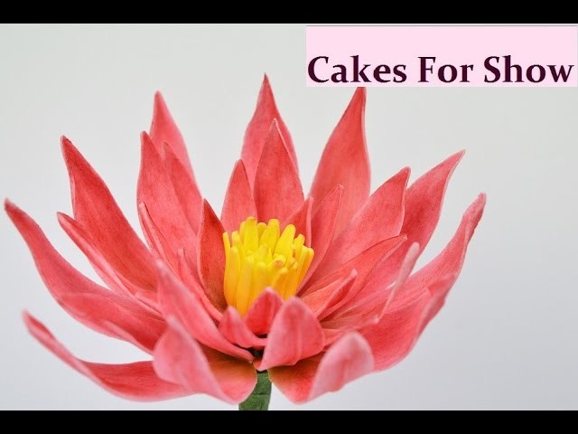 Making Sugar Lotus Flower