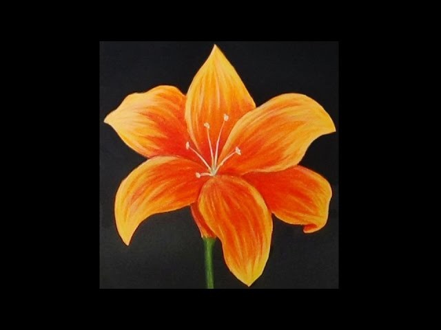 Orange Lily Acrylic Painting
