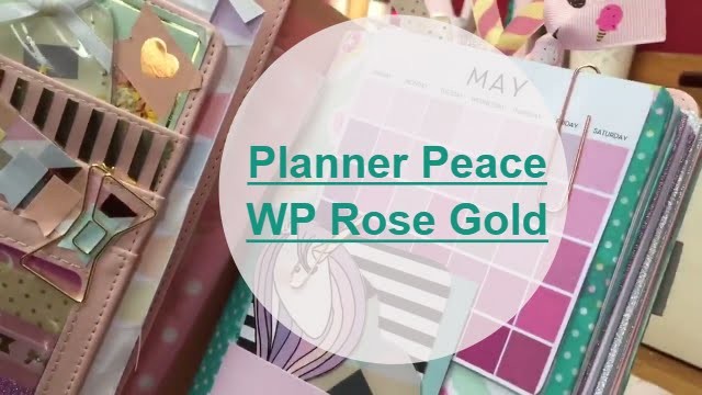 Planner peace in a travelers notebook